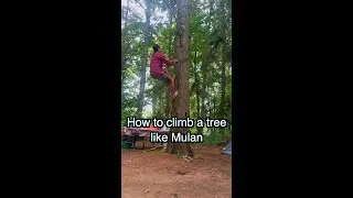 Как залезть на дерево, как Мулан #шорты