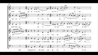 Johann le Febure - Stella quam viderant magi