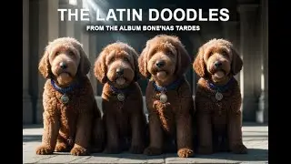 The Latin Doodles - Funny Dogs Playing Latin Music Video