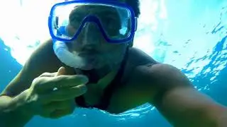Touching Pinna Nobilis (aka Noble Pen Shell) / Sardinia 2017