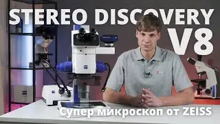 Стереомикроскоп ZEISS Stereo Discovery V8. Обзор