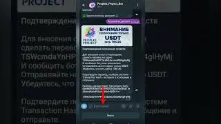 PEOPLES PROJECT - КАК ПОПОЛНИТЬ ДЕПОЗИТ В БОТЕ PP?