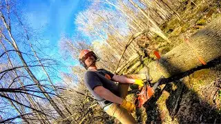 Cutting A New ATV and Hiking Trail