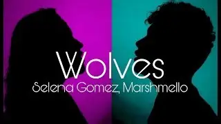 Wolves - Selena Gomez, Marshmello (Cover by 2Reasons)