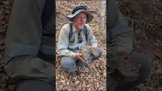 Estrella Resources Limited (ASX:ESR) Exploration Manager Steve Warriner at Sica Prospect TL