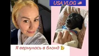 USA VLOG 🇺🇸 Хочется перемен ! Сломала руку ? 😩Всем добра🥰