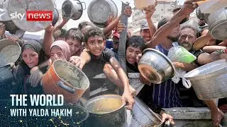 Israeli human rights organisations accuse country of genocide | The World with Yalda Hakim