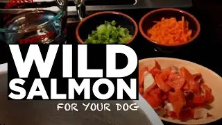 Easy Real Dog Food - Wild Salmon