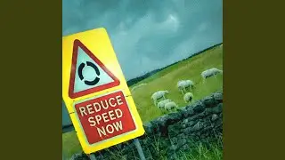Reduce Speed Now