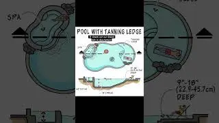POOL WITH TANNING LEDGE #shorts #civilengineering065 #architecture