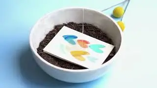 How to plant your plantable seeded cards