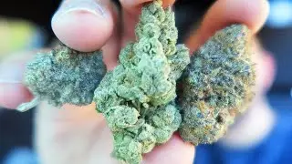 FRUIT SALAD JOINT SESH!!