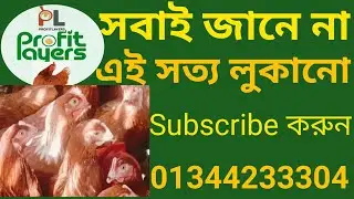 সব লেয়ার কি ডিম দেয়? 🤔 | খামারিরা এই সত্য জানেন না! | Profit Layers 📞 01344233304