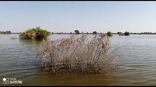 sailab mutsrin K N shah village chaman