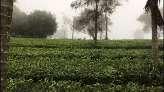 Best resort @vagamon Holiday VaGaMoN
