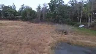 Backyard Lake Laps with the Drone #nickcosteines #dronevideo 