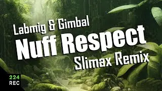 Labmig & Gimbal - Nuff Respect (Slimax Remix)
