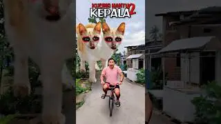What❗Chased by a Two-Headed Ghost Cat❗Here's How to Make It❗
