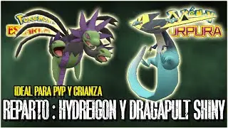 🌟REPARTO RAID EVENT: HYDREIGON y DRAGAPULT SHINY PVP 100% LEGAL  l ESCARLATA y P&Uacute;RPURA🌟