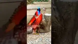 Never run from the Lord!