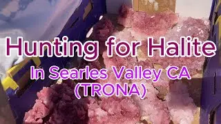 Halite Hunting in Searles Valley, CA