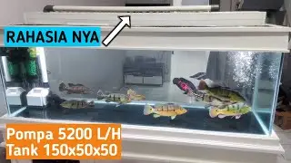 Cara agar filter aquarium tidak luber pakai pompa aquarium besar