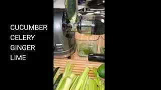 HOW TO MAKE CUCUMBER CELERY GINGER AND LIME JUICE || JUICE EXTRACTOR || HEALTHY JUICE