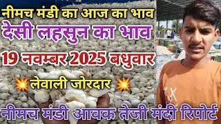 Today's Garlic Rate in Neemuch Mandi || Today's Garlic Rate Neemuch Mandi || Today's Garlic Price