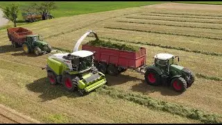 📽🤩ENSILAGE 2021 DE LUZERNE/ E.T.A RICHERT ALSACE 👌👍👍/CLAAS JAGUAR 970 / FENDT 927 BENNE 3 essieux 💪💪