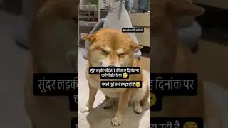 itna smart kyu hu yrr 🥲😌 #shorts #viral #funny