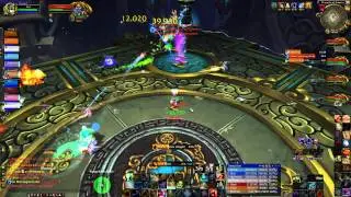 Throne of Thunder - Lei Shen 10 man (Elemental Shaman PoV)