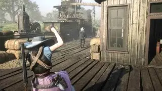 Sean MacGuire's Clearing House | Blood Money Crime Red Dead Online