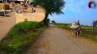 PAKISTAN VILLAGE JAISAK WALKING TOUR / pakistan rural life
