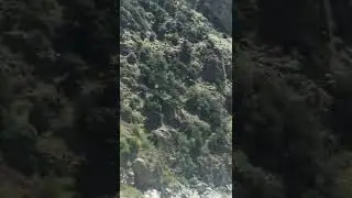 Blue water Swat kalam