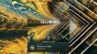 Paracozm & VORG - The Swarm