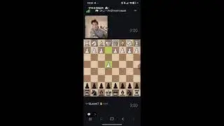 шахматы