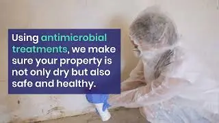 Water Restoration Ocala FL Your Trusted Partner in Property Recovery