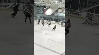 Save of the Season Nominee #beerleague #hockey #saveoftheday