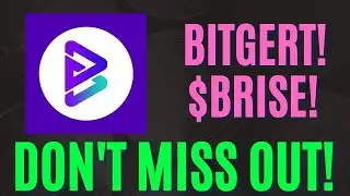 BIG BITGERT UPDATE! DON'T SLEEP ON $BRISE WALLET!