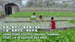 Hong Kong Youth&rsquo;s Organic Farming Start-up in Greater Bay Area
