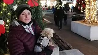 Weihnachtsmarkt in Constanța am schwarzen Meer 2025