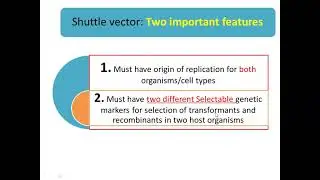 what are Shuttle vectors: Yeast Vectors