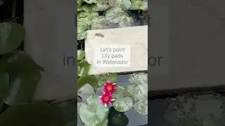Paint Lily Pads Using Watercolor