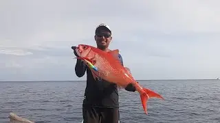 Strike perdana dengan Jig Fish Hunter Bali RBW 500 Gram