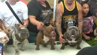 summer bully show 2018 L.A. (stack off)