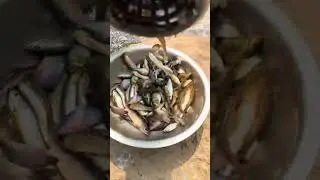 Outdoor Fishing technique EP-120 | Creative Fishing