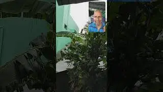 தத்துவ மழையில் நனைய தயாரா?