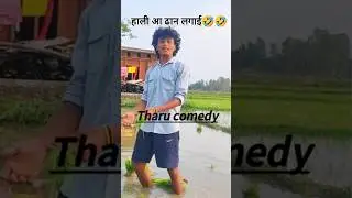 थारू कमेडी || Tharu Comedy || Sanghari Bhai || #tharucomedy #tharuthuglife #funny #shortsfeed