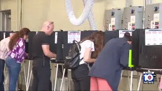 Panel sides with candidate in Miami election delay lawsuit appeal