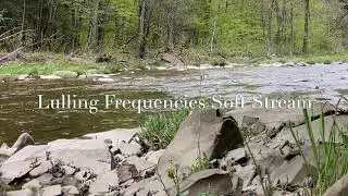 Soft Stream -The Gentle Flow of the Normans Kill Creek - 3 Hours- Nature Sounds